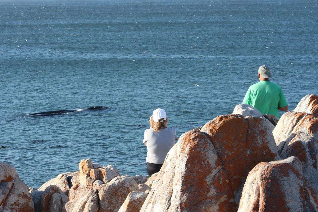 Whaletale Apartman De Kelders Kültér fotó