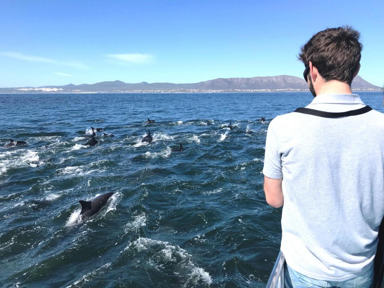 Whaletale Apartman De Kelders Kültér fotó